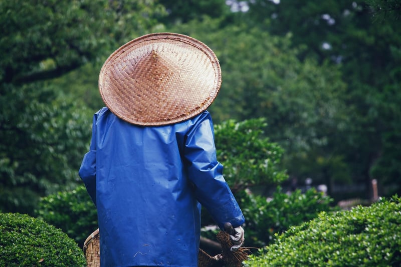 Disease Prevention in Garden